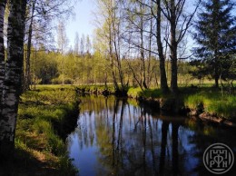 Раздолье, Центральная