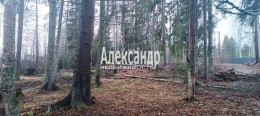 Подборовье, Лесная