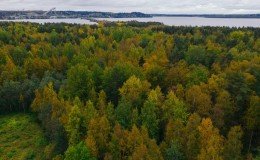 Мурманское