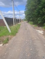 Курковицы