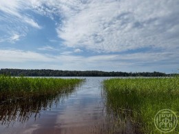 Пальцево, Локомотив-2, 7