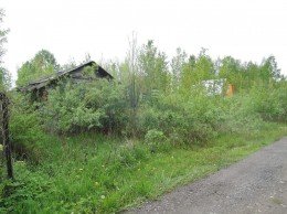 Павловский Посад, Васютино, Зарянка, к.НТ