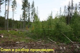 Поляны