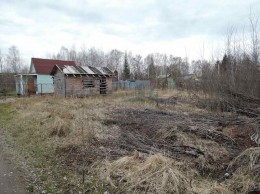Павловский Посад, Васютино, Зарянка, к.НТ