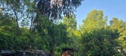 Толстопальцево, Центральная