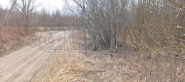 Шамокша, Сельская