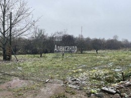 Синево, 25