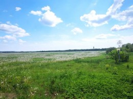Зайцево
