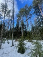 Отрадное