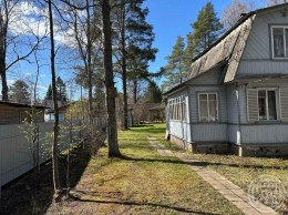 Белоостров, Главная (Дюны), 16