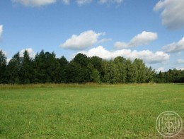 Красносельское