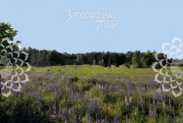 Солнечногорск
