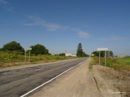 Клопицы