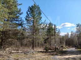 Васильево, Ольховая