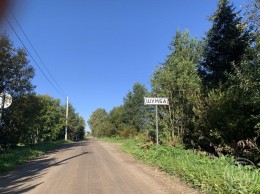 Шумба, Лесная