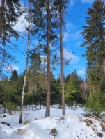 Черемыкино