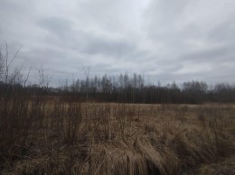 Павловский Посад, Степуринская
