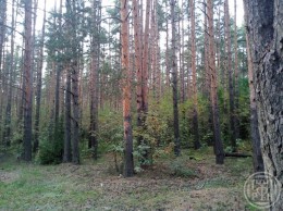 Дунай