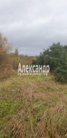Оредеж, Сазанова