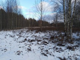 Проба