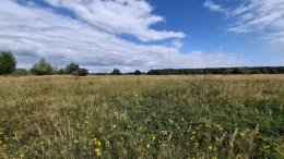 Кашира, Яковское