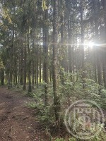 Кошкино, 15 литер г