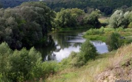 Луховицы, Власьево, Полевая