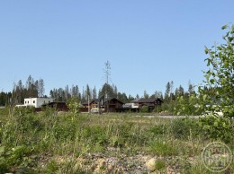 Мертуть, Лесная поляна, Абрикосовая