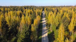 Черемыкино