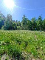Зеленая Долина, к.нт.