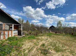Дмитров, Новосиньково