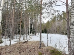 Поляны