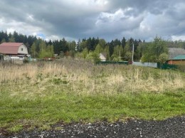 Воскресенск, Барановское