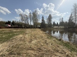 Лесные пруды