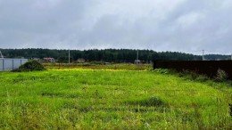 Загорново, Школьная