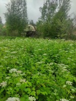 Волхонское