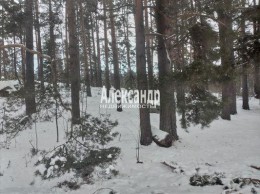 Мыс