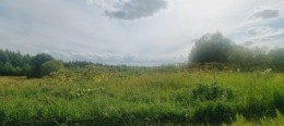 Бугры массив