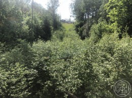 Кирполье