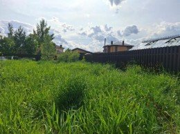 Истра, Лыщево