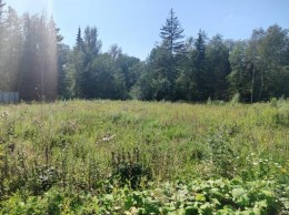 Краснознаменск, Сириус
