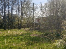 Гостилицы