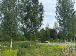 Ковшово