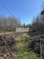 Пальцево