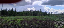 Сарженка, Агалатовское, к.нт