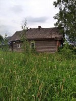 Куколь, 6