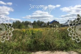 квартал 81