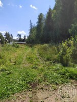 Правдино