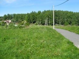 Хязельки, Зеленая