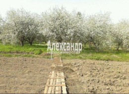 Волосковичи